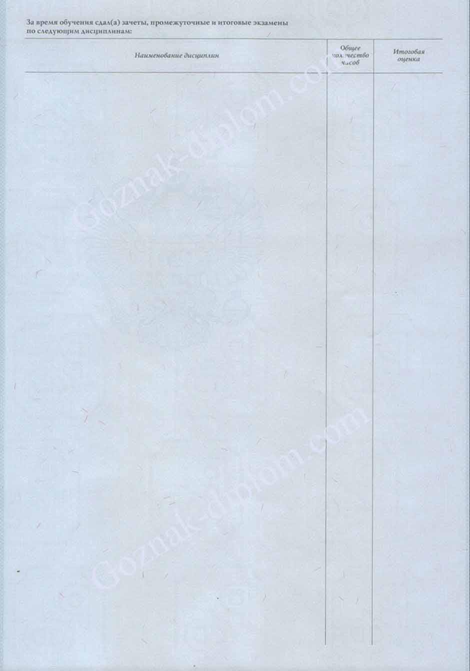 Диплом училища России 2007-2026